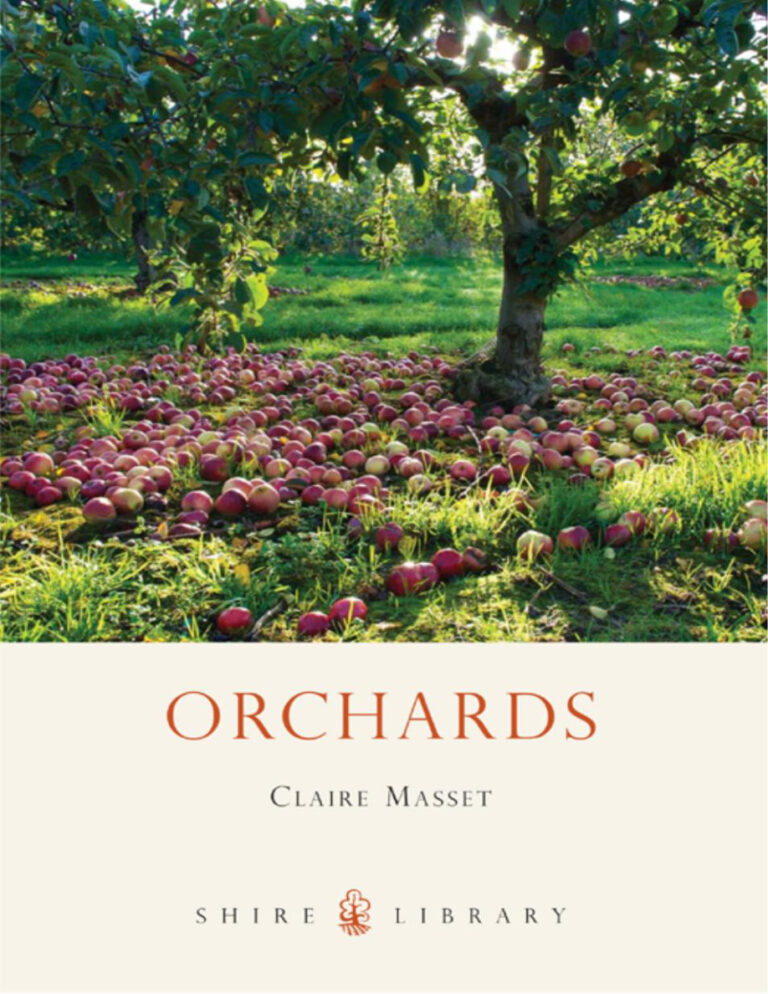 Orchards Claire Masset Kitap Kapağı