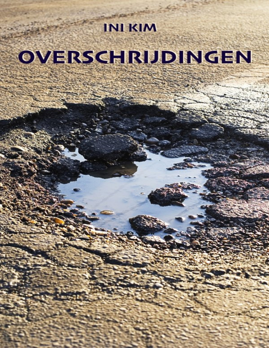 Overschrijdingen PDF Download