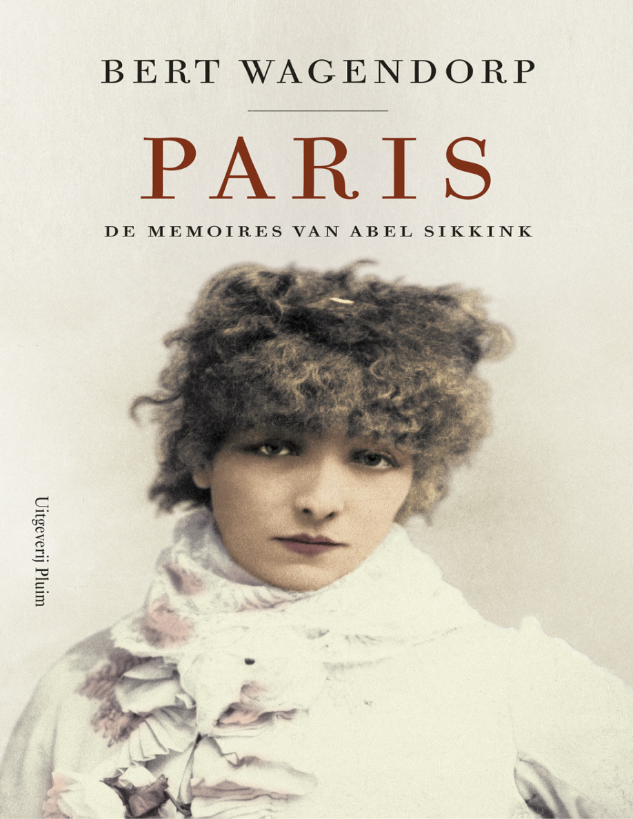 Paris de memoires van Abel Sikkink Dutch Edition Bert Wagendorp Kitap Kapağı