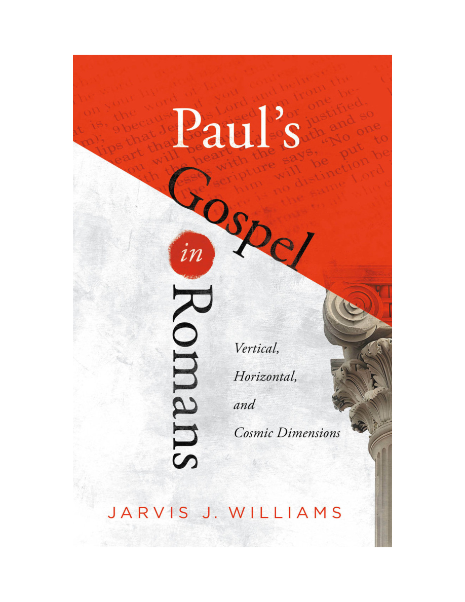 Paul's Gospel in Romans PDF Download