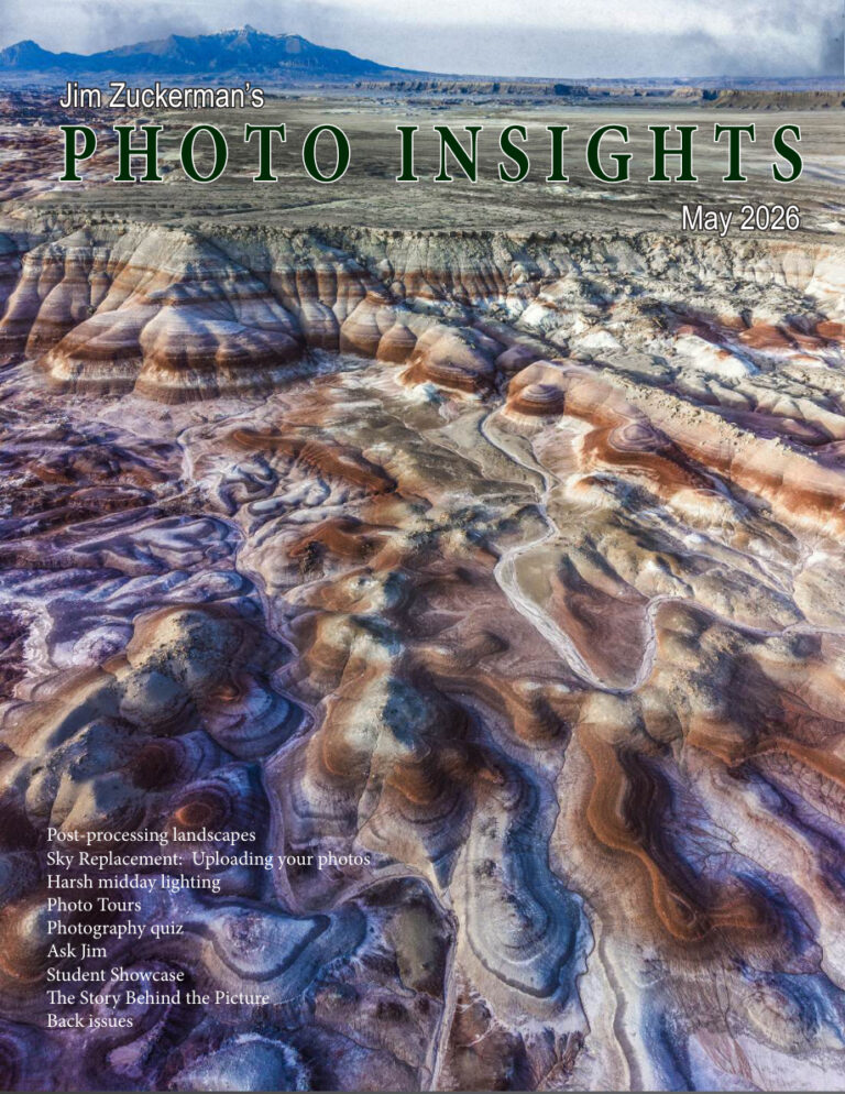 Photo Insights May 2026 Photo Insights Kitap Kapağı