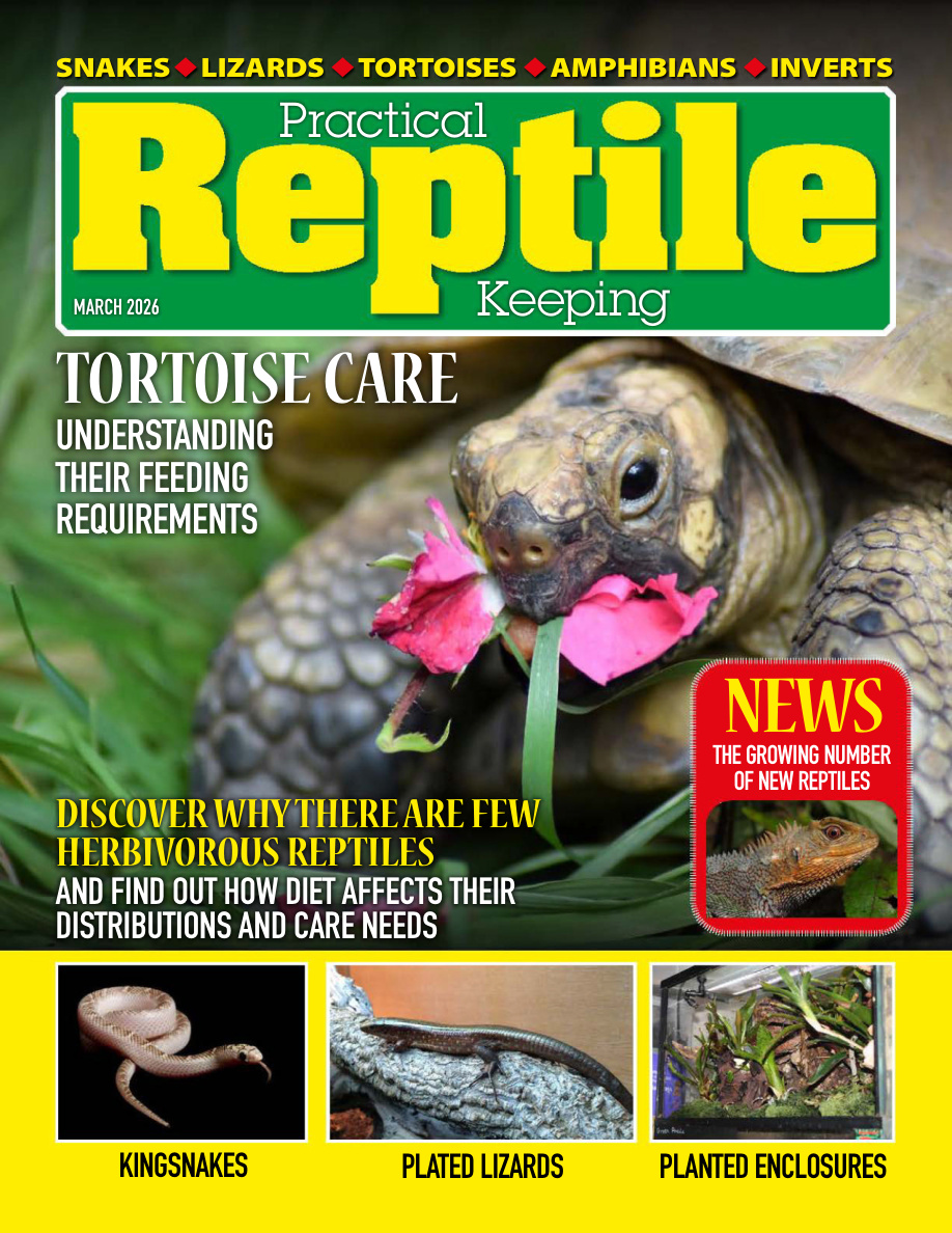 Practical Reptile Keeping March 2026 Practical Reptile Keeping Kitap Kapağı