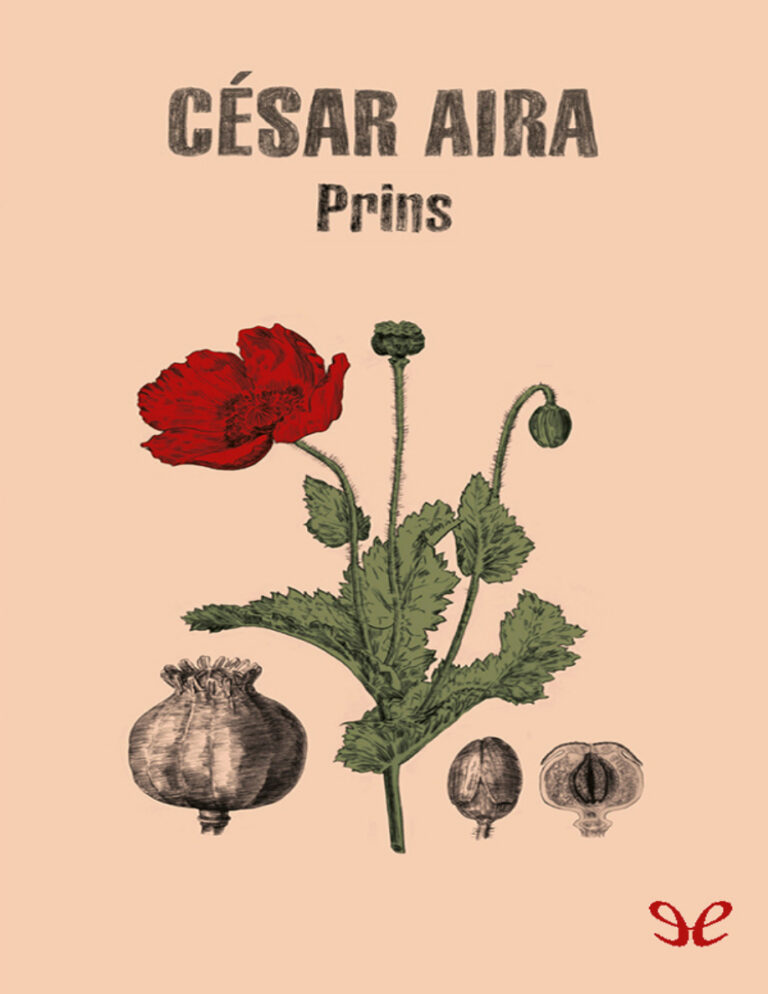 Prins Spanish Edition Cesar Aira Kitap Kapağı