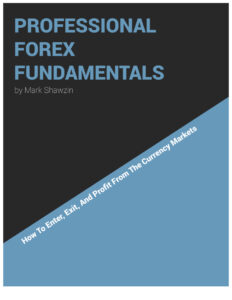 Professional Forex Fundamentals @Moneiac Book Kitap Kapağı
