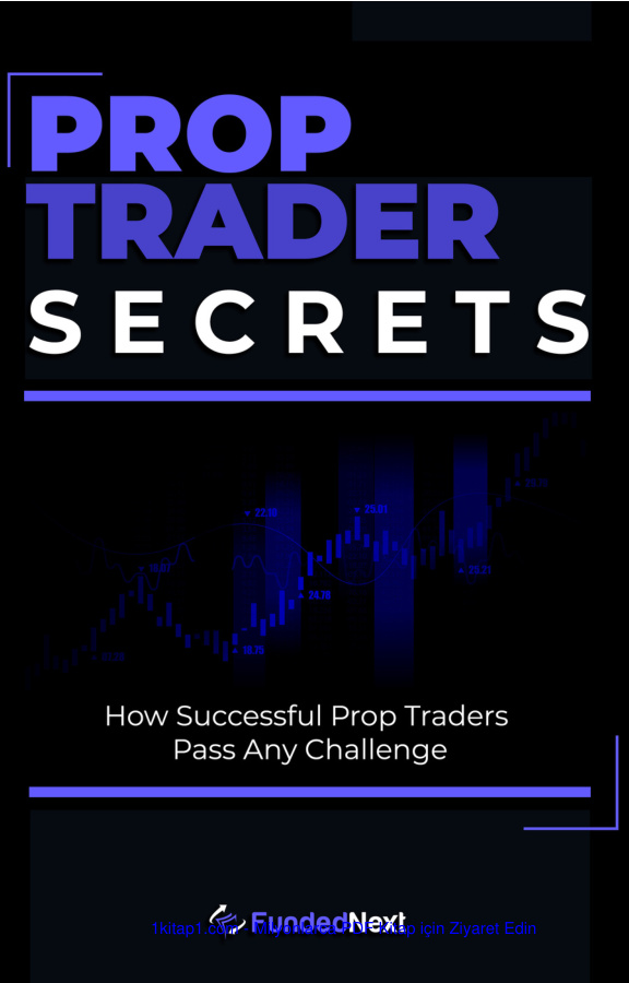 Professional TRADER SECRETS 2 241019 120055 1 Kitap Kapağı
