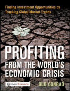 Profiting from the Worlds Economic Crisis Finding Investment Opportunities Kitap Kapağı
