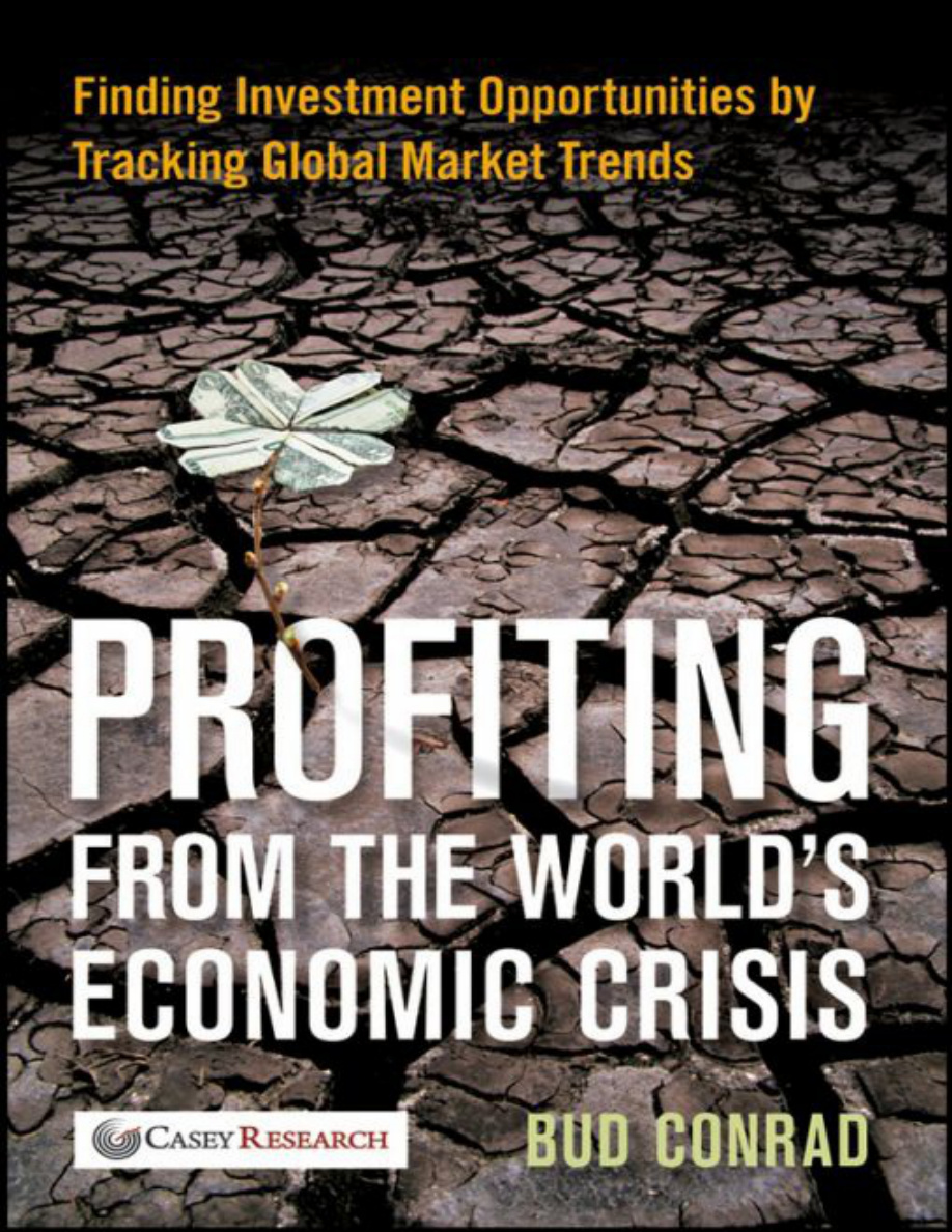 Profiting from the World's Economic Crisis: Finding Investment Opportunities PDF Download