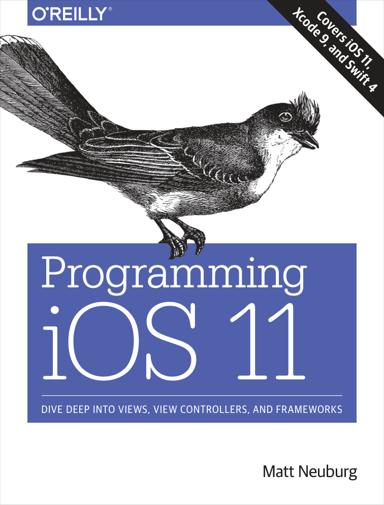 Programming iOS 11 Dive Deep Into Kitap Kapağı