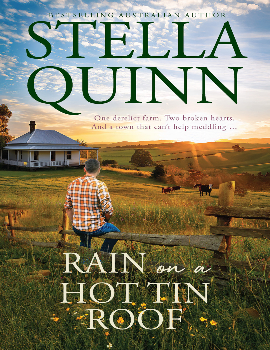 Rain on a Hot Tin Roof PDF Download
