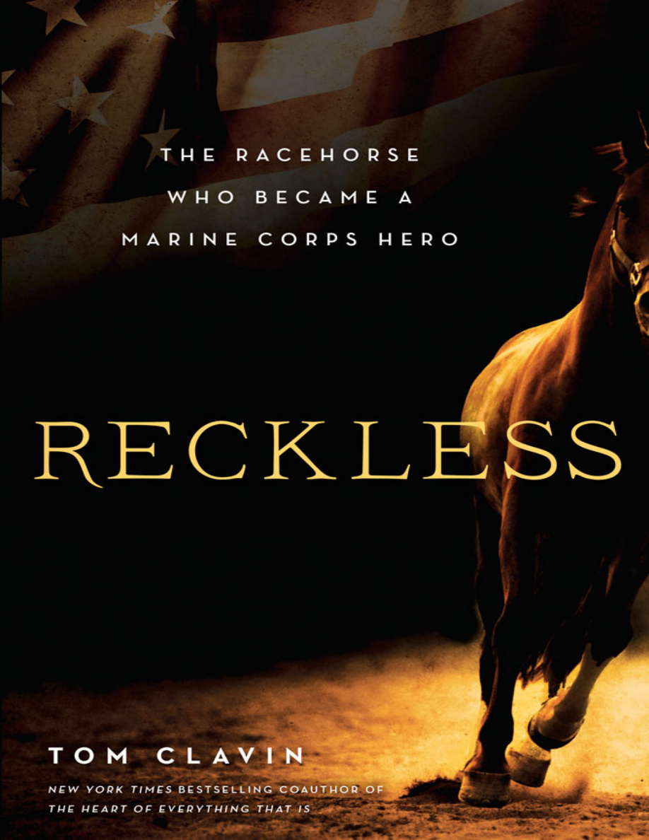 Reckless PDF Download