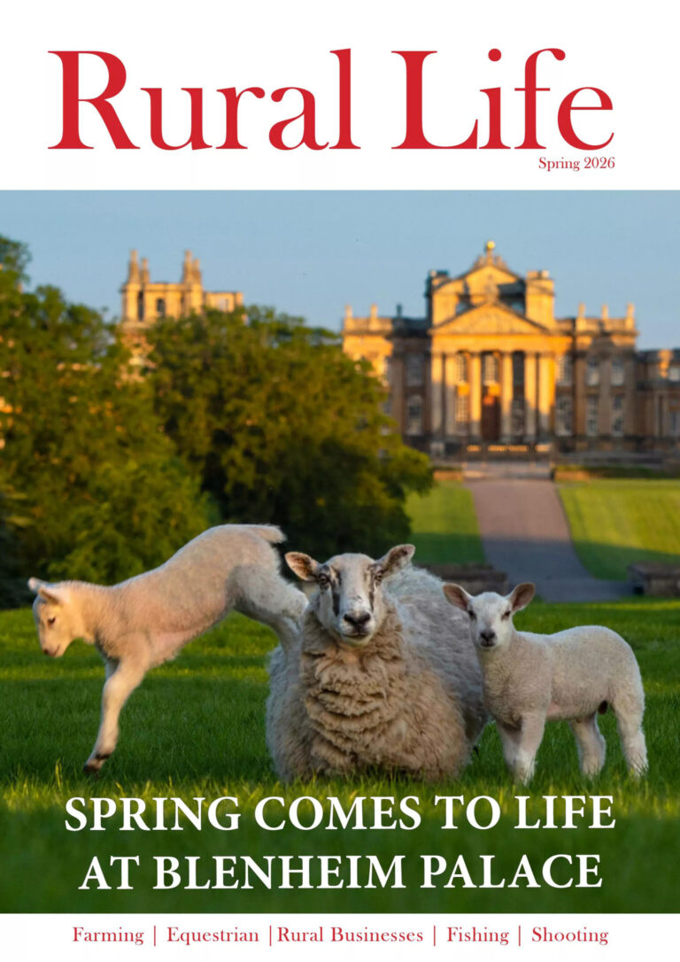 Rural Life Spring 2026 Rural Life Kitap Kapağı