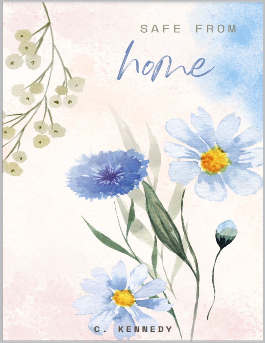 Safe From Home PDF Download