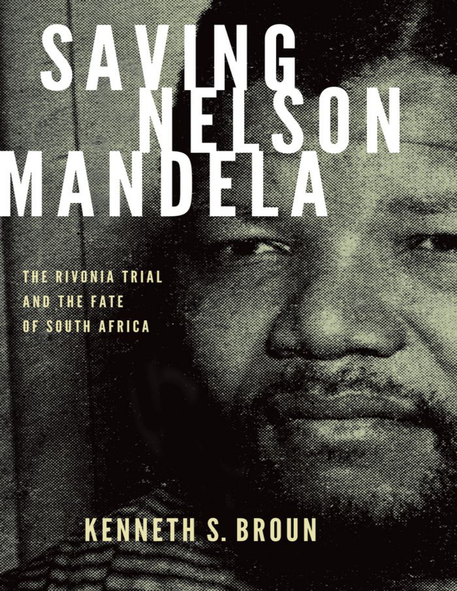 Saving Nelson Mandela PDF Download
