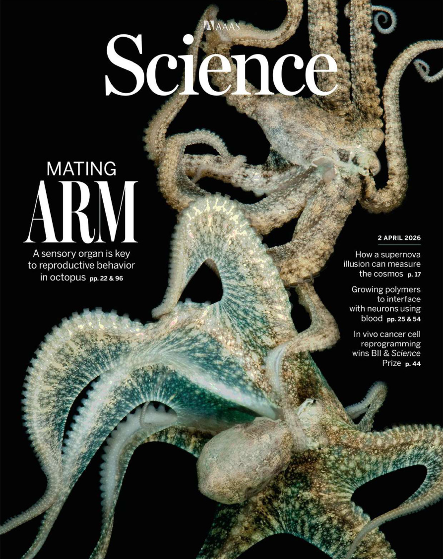 Science Issue 6793 Volume 391 April 02 2026 Science Kitap Kapağı