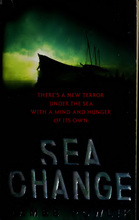 Sea Change A Novel James Powlik Kitap Kapağı