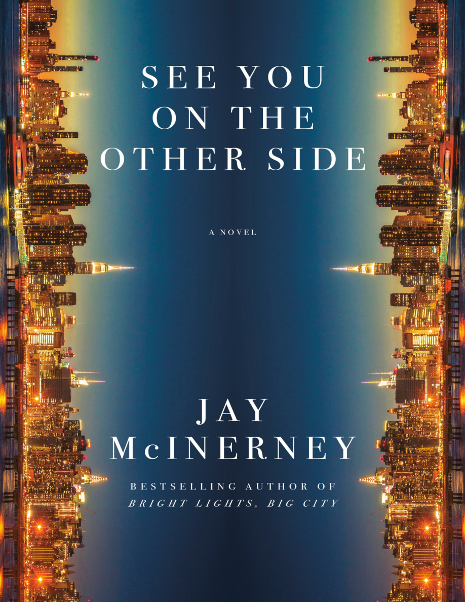 See You on the Other Side PDF Download