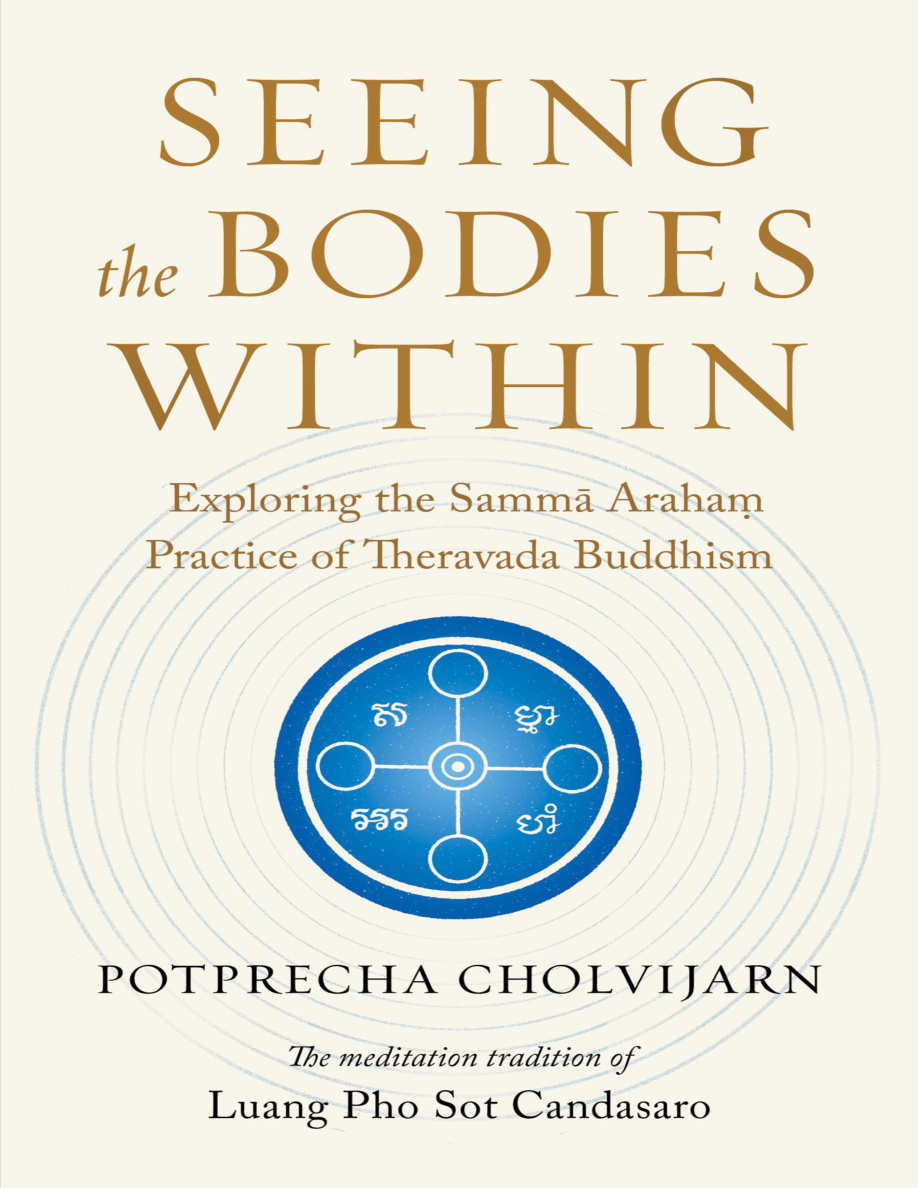 Seeing the Bodies Within PDF Download