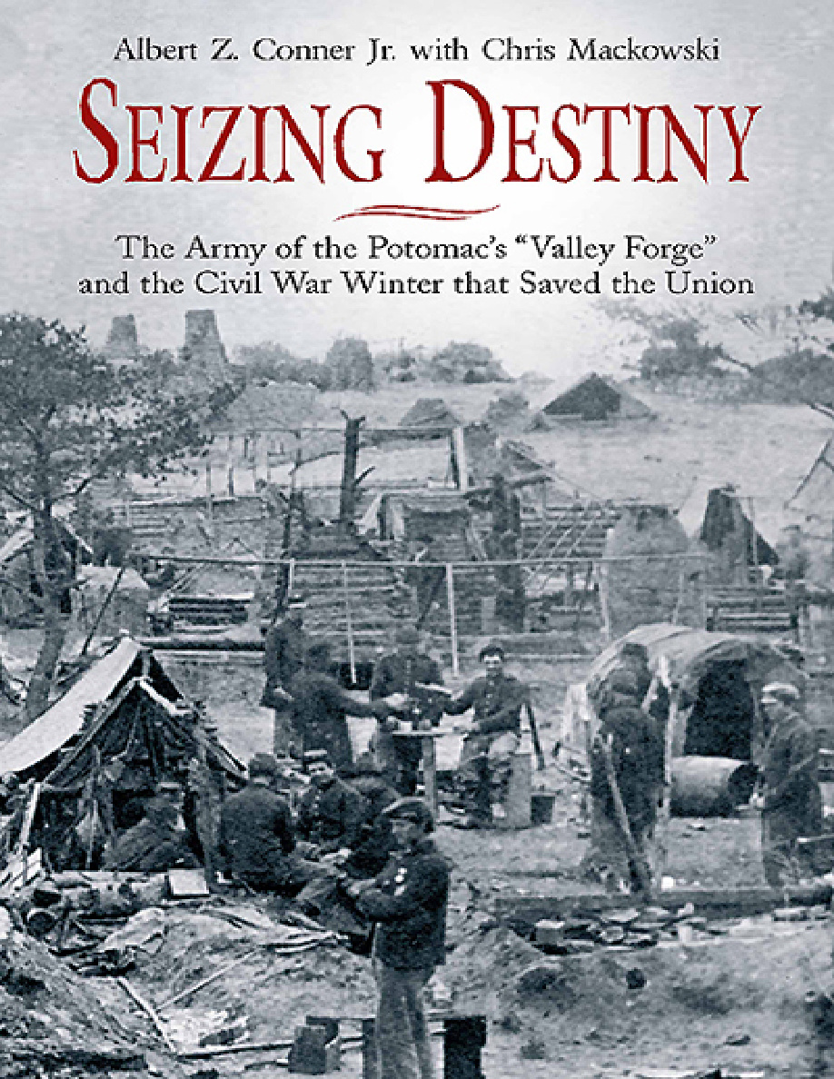 Seizing Destiny PDF Download