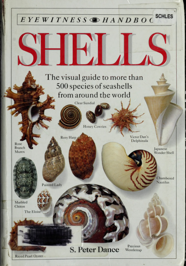 Shells S Peter Dance Kitap Kapağı