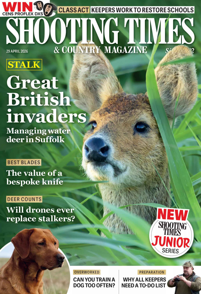 Shooting Times n Country - 29 April 2026 PDF Download