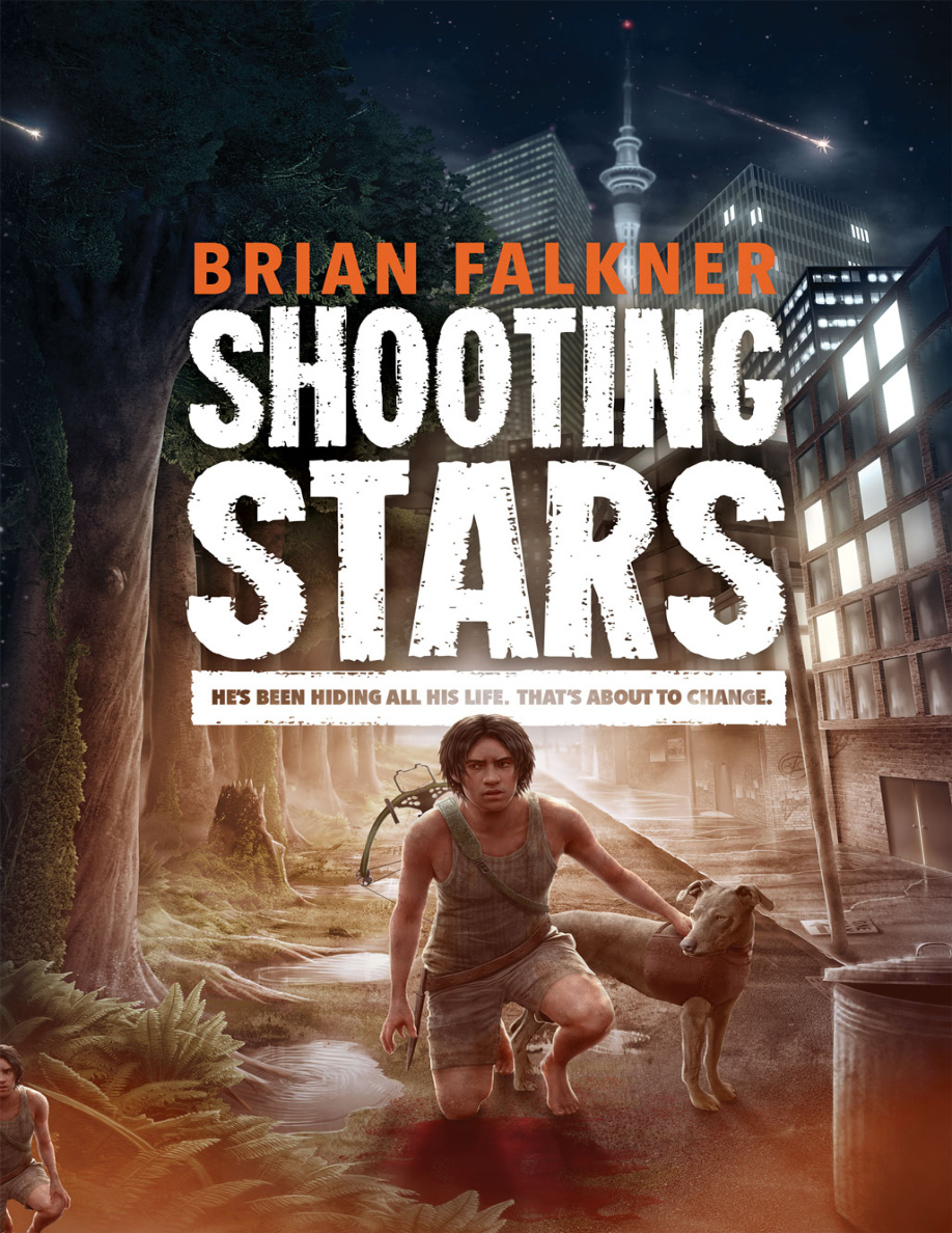 Shooting Stars PDF Download