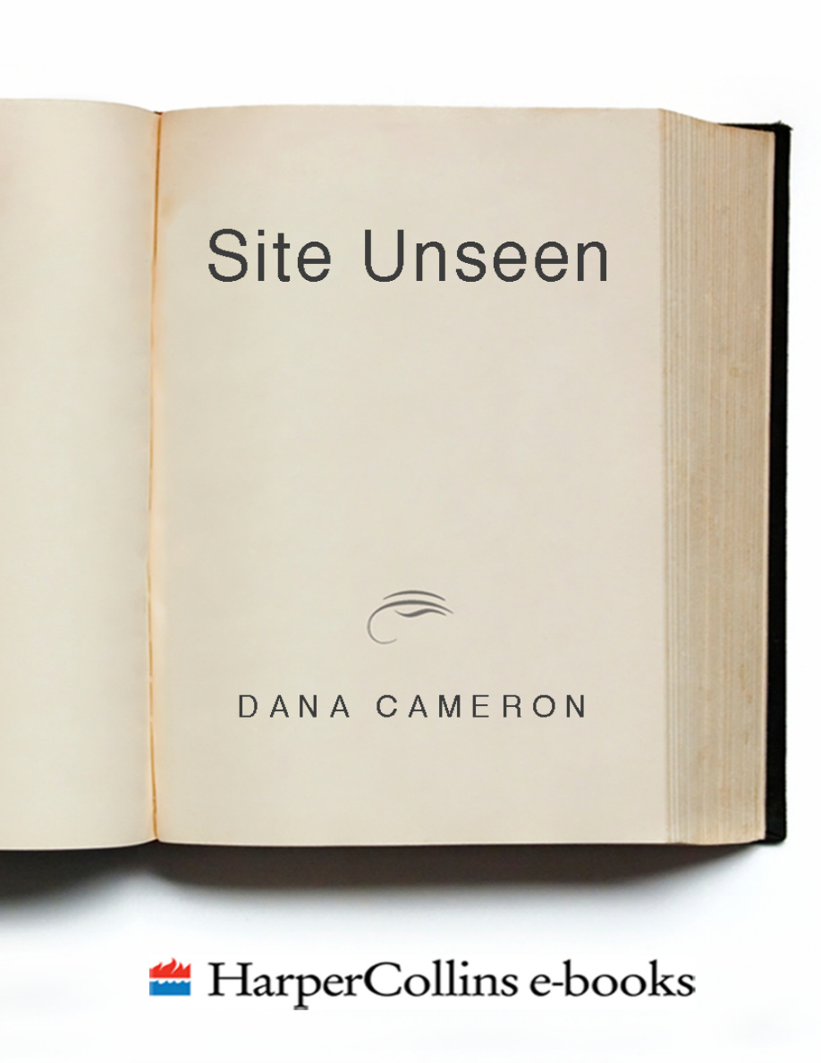 Site Unseen PDF Download