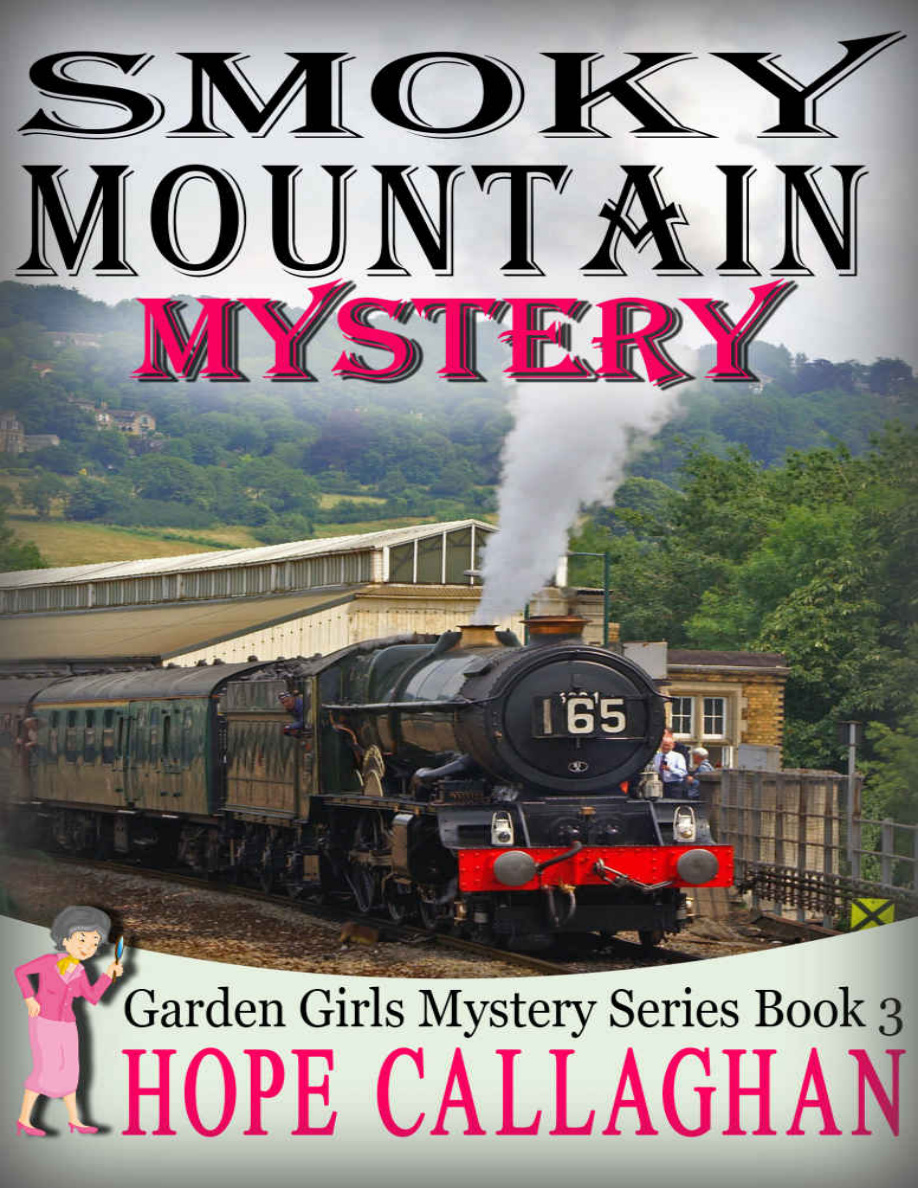 Smoky Mountain Mystery PDF Download