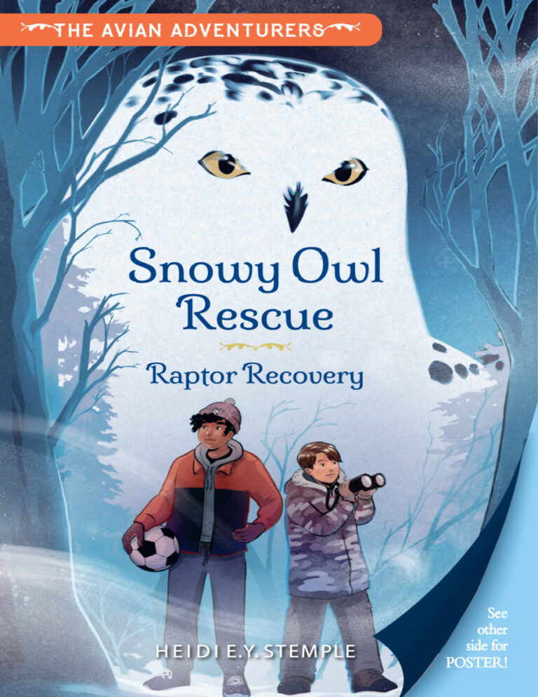 Snowy Owl Rescue Heidi EY Stemple Kitap Kapağı