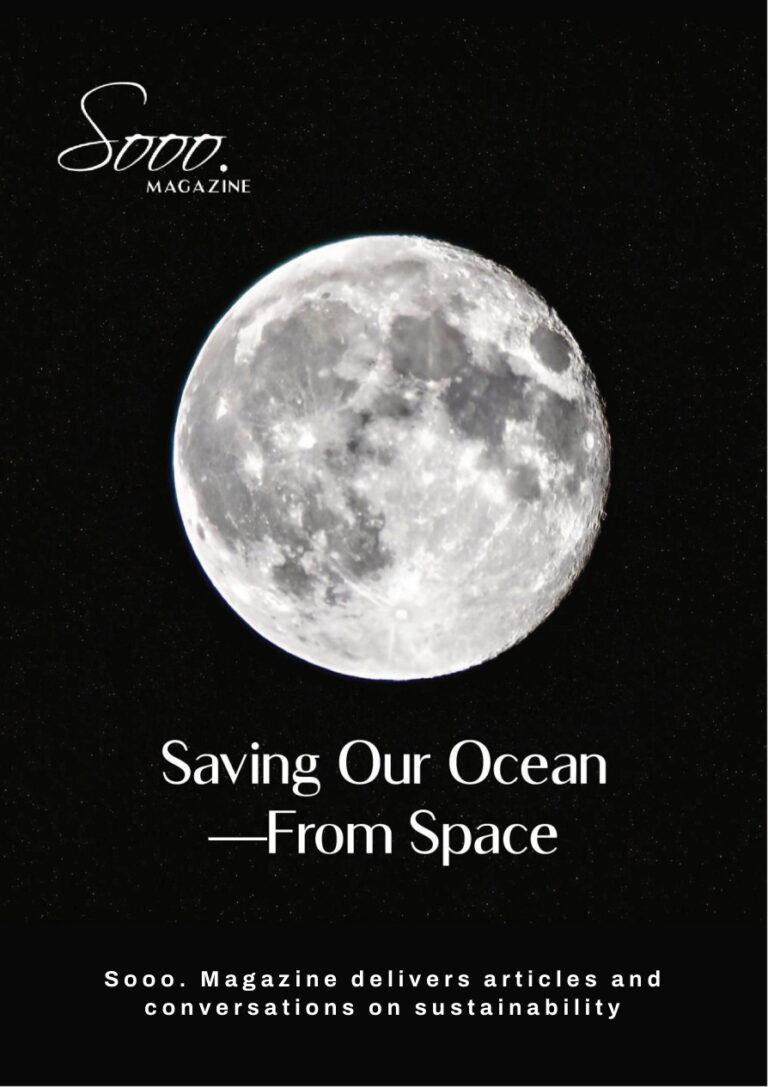 Sooo Magazine Saving Our Ocean From Space 2026 Sooo Magazine Kitap Kapağı