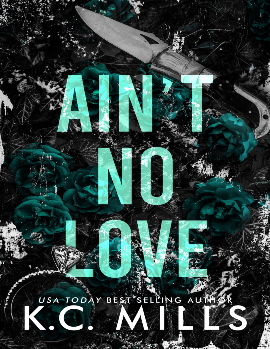 Sophie and Trooper Aint No Love PDF Download