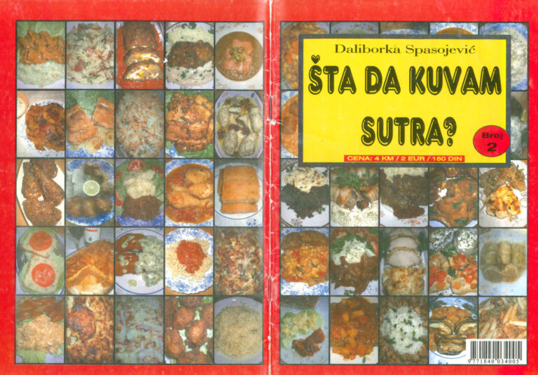 Sta da kuvam sutra Daliborka Spasojevic Kitap Kapağı
