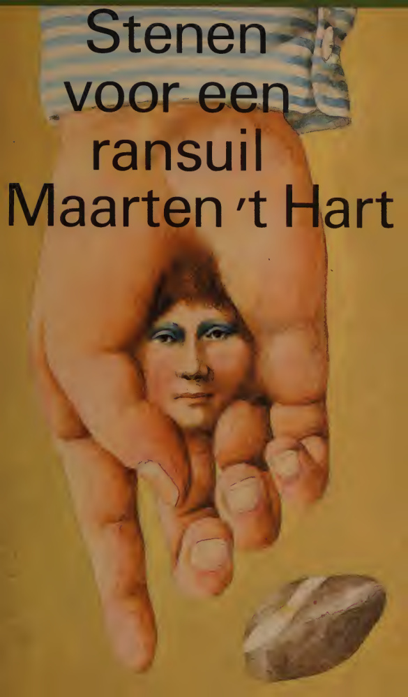 Stenen voor een ransuil PDF Download