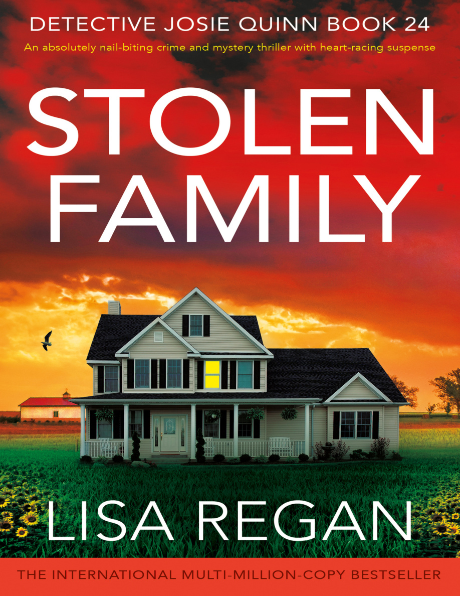 Stolen family Lisa regan Kitap Kapağı