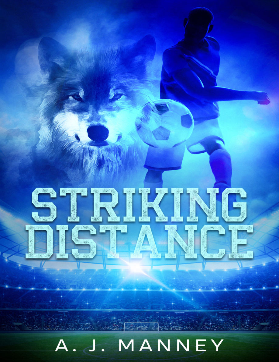 Striking Distance PDF Download