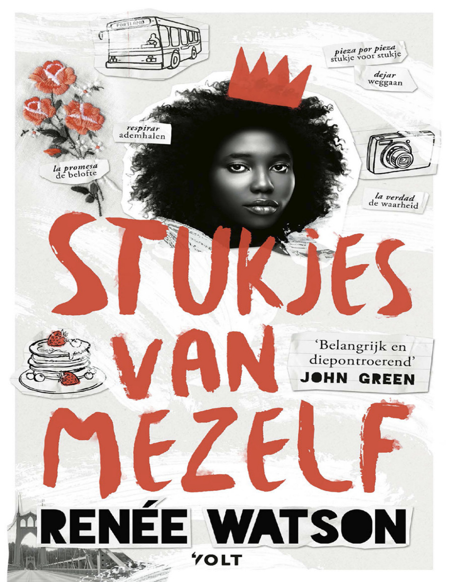 Stukjes van mezelf PDF Download