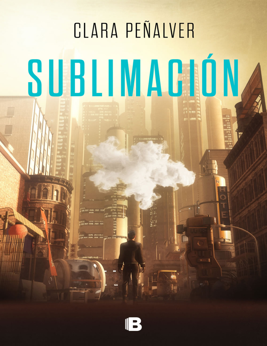 Sublimacion PDF Download