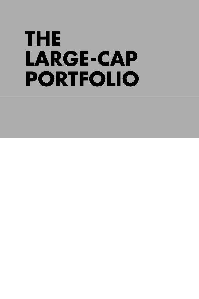 THE LARGE CAP PORTFOLIO Value Investing Kitap Kapağı