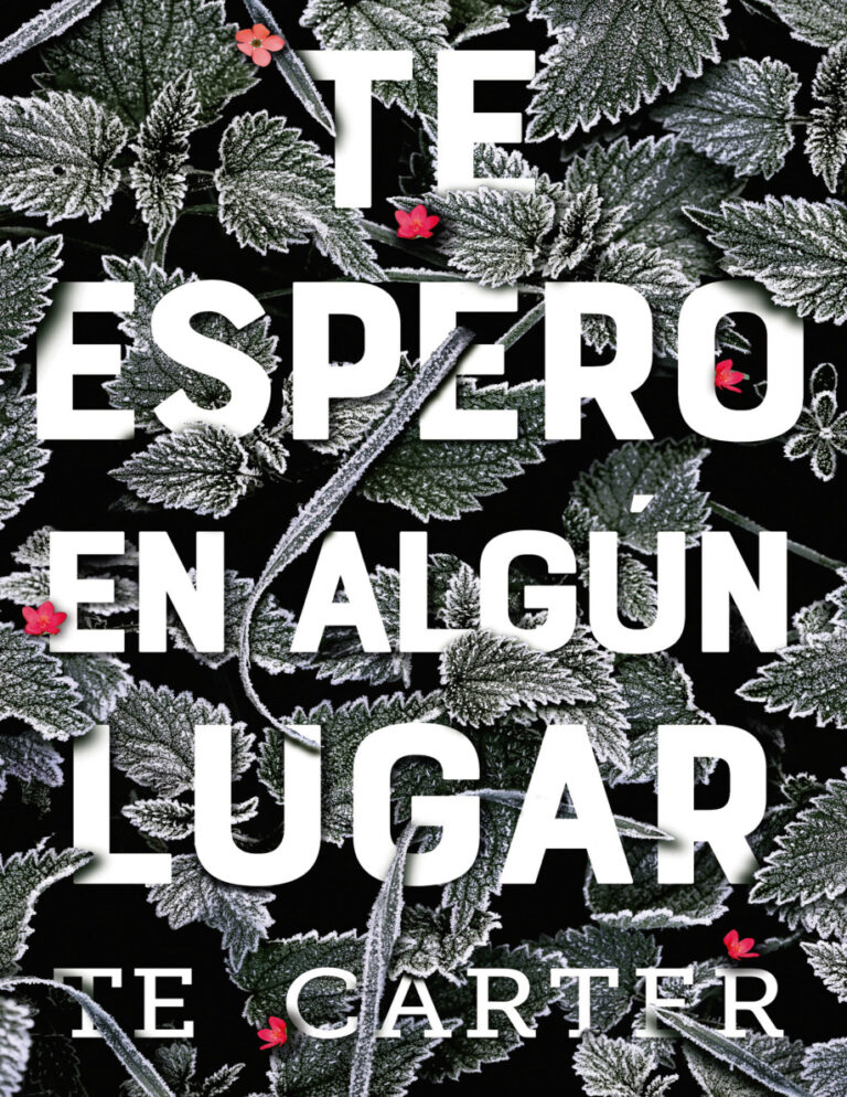 Te espero en algun lugar Spanish Edition TE Carter Kitap Kapağı