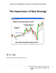 The Importance Of Exit Strategy Kitap Kapağı