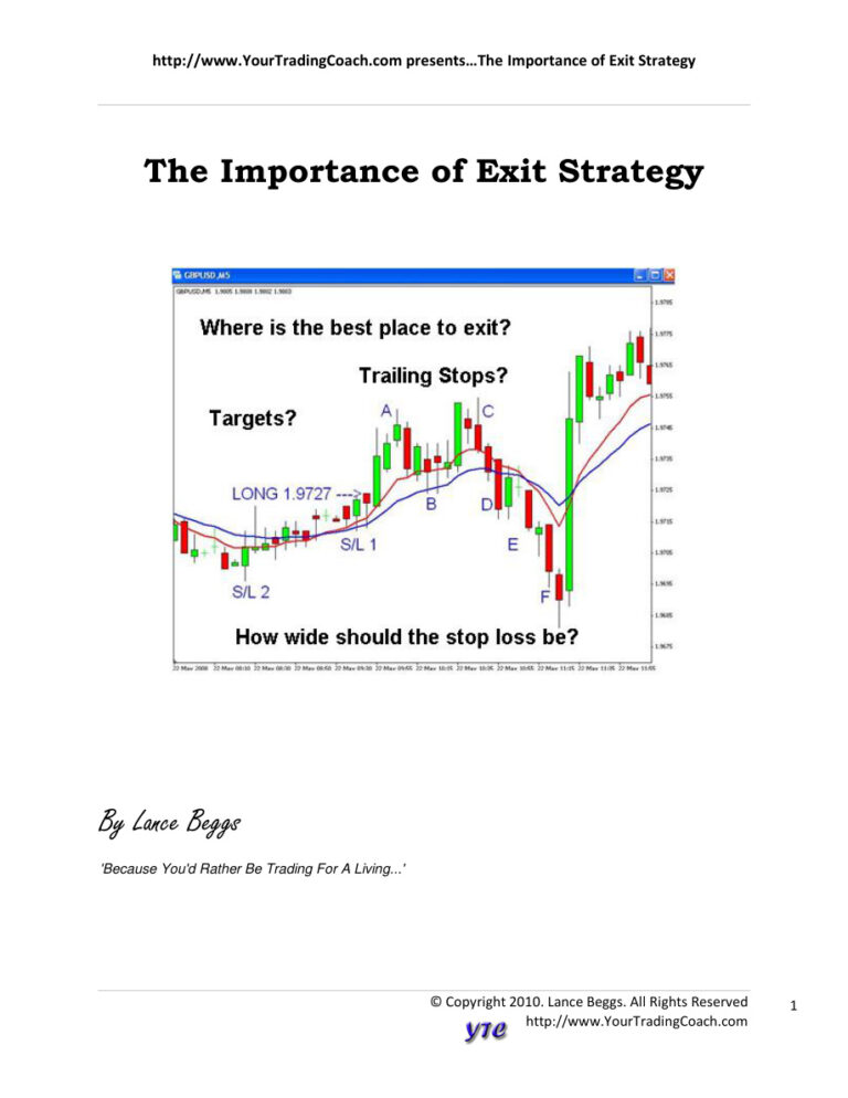 The Importance Of Exit Strategy Kitap Kapağı