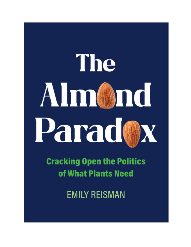 The Almond Paradox Emily Reisman Kitap Kapağı