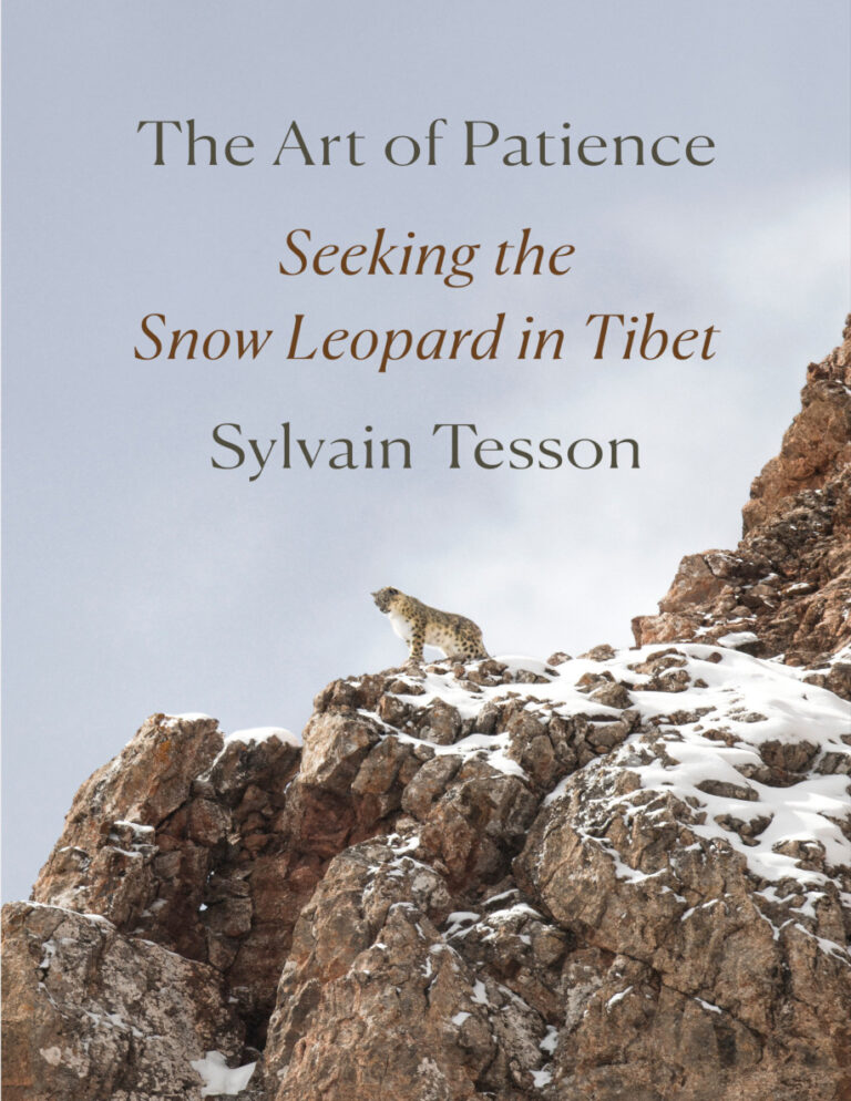 The Art of Patience Sylvain Tesson Kitap Kapağı