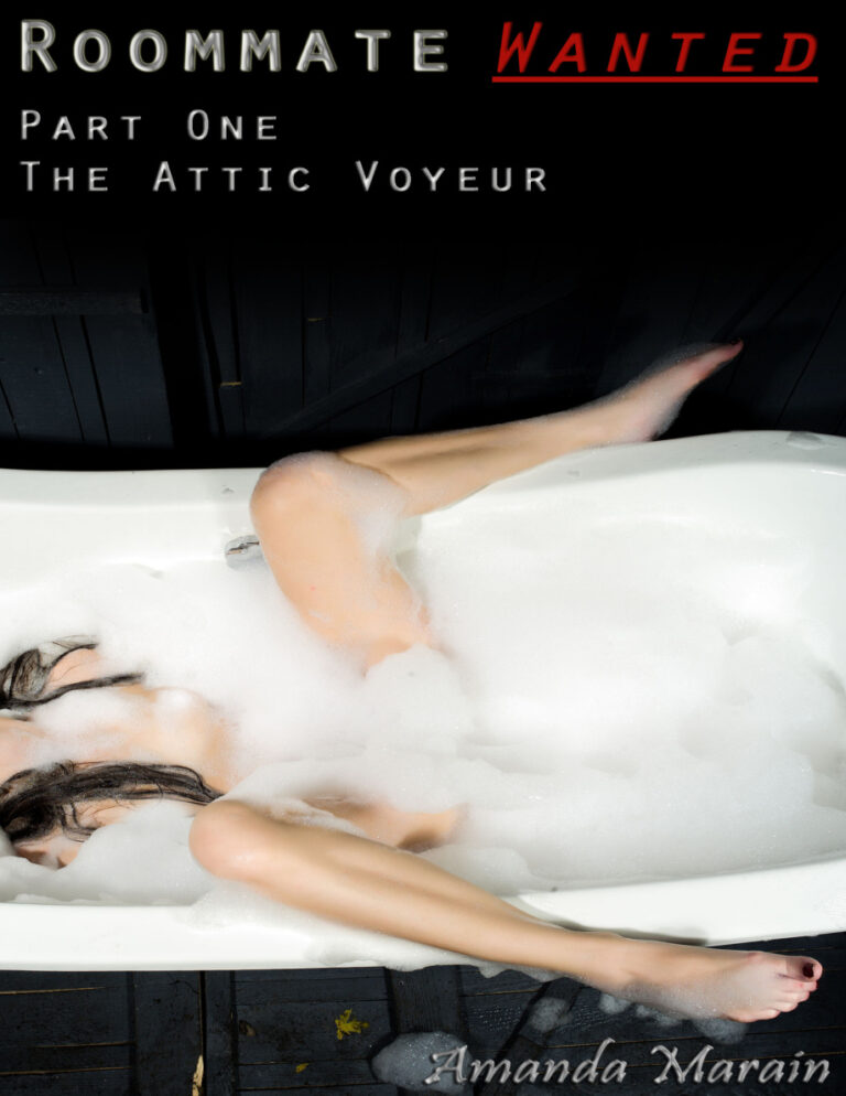 The Attic Voyeur Amanda Marain Kitap Kapağı