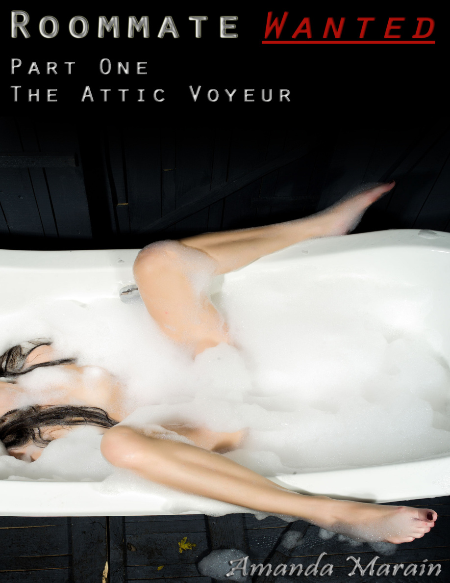 The Attic Voyeur Amanda Marain Kitap Kapağı