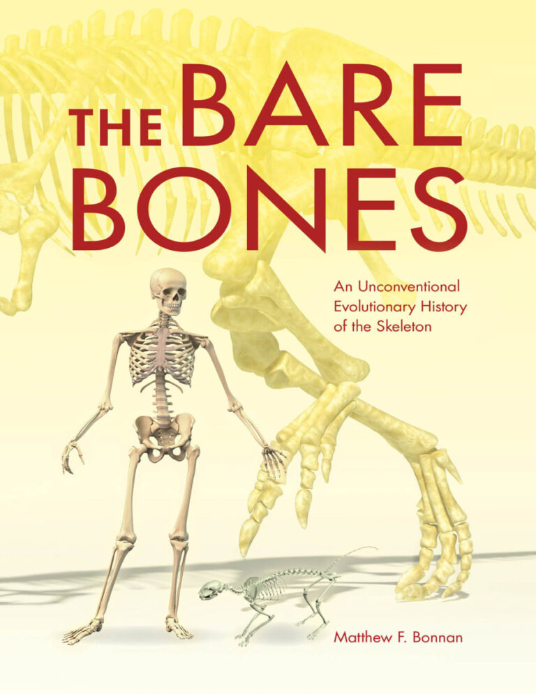 The Bare Bones Matthew F Bonnan Kitap Kapağı