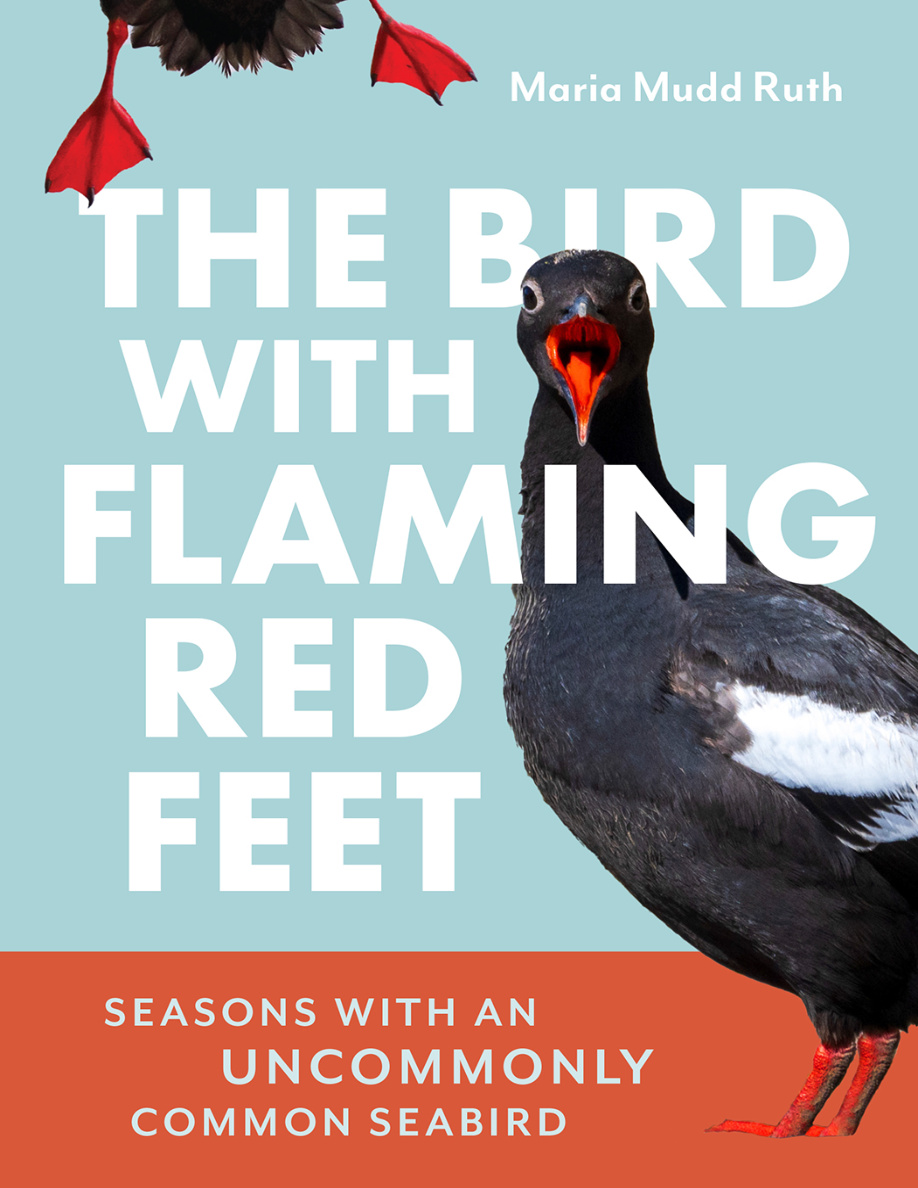 The Bird with Flaming Red Feet PDF Download