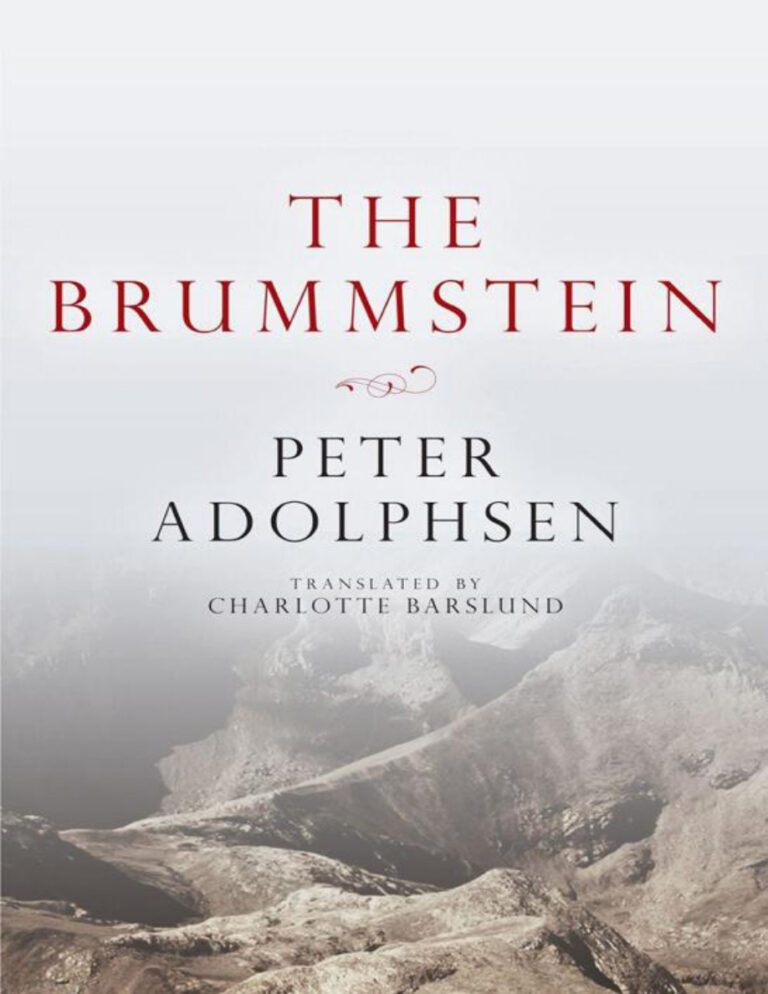 The Brummstein Peter Adolphsen Kitap Kapağı