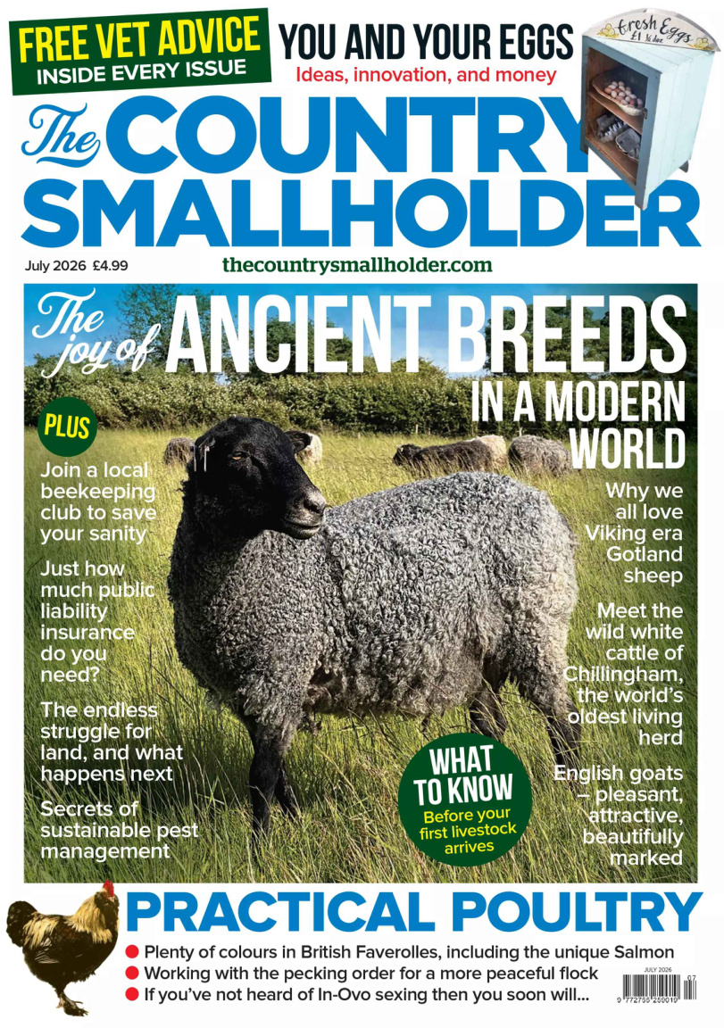 Country Style July 2026 PDF Download