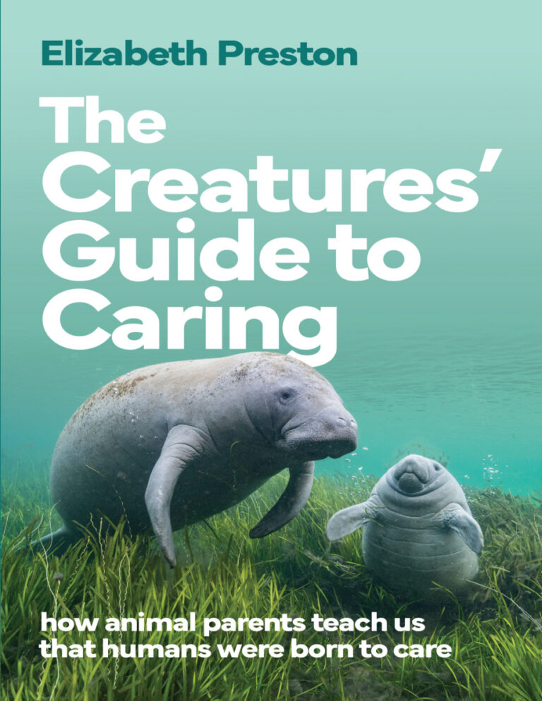 The Creatures Guide to Caring Elizabeth Preston Kitap Kapağı