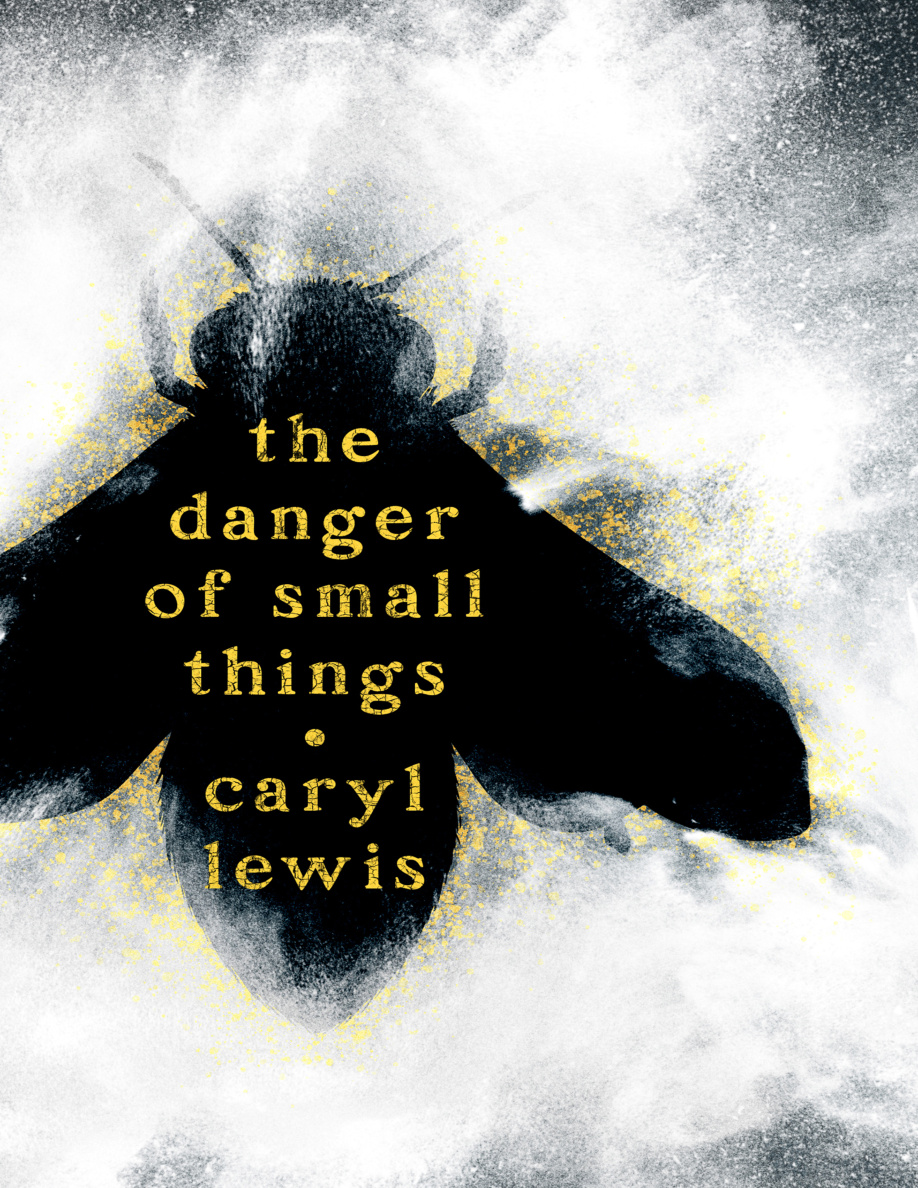 The Danger of Small Things PDF Download